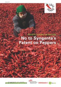 pepperreport-cover