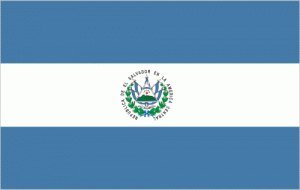 es-lgflag